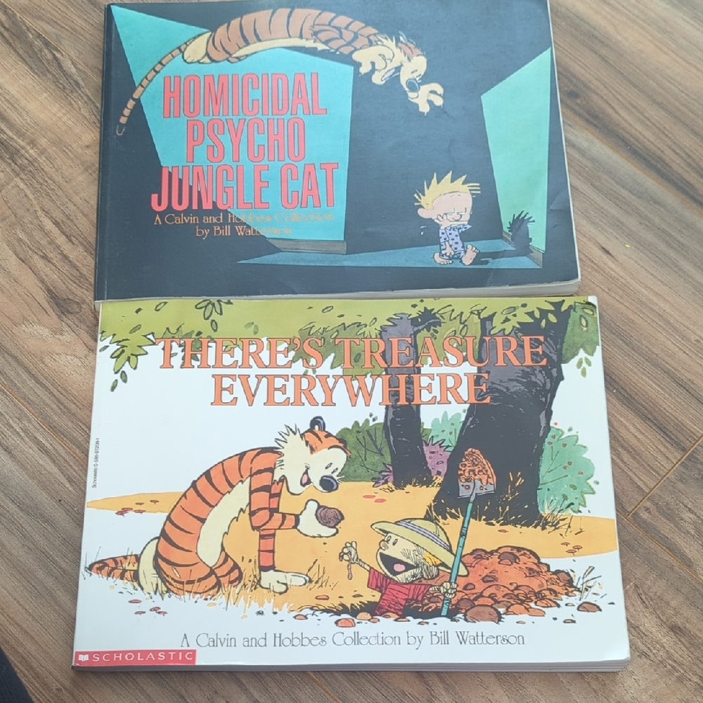 Calvin and Hobbes Comic Book Set - Vintage
